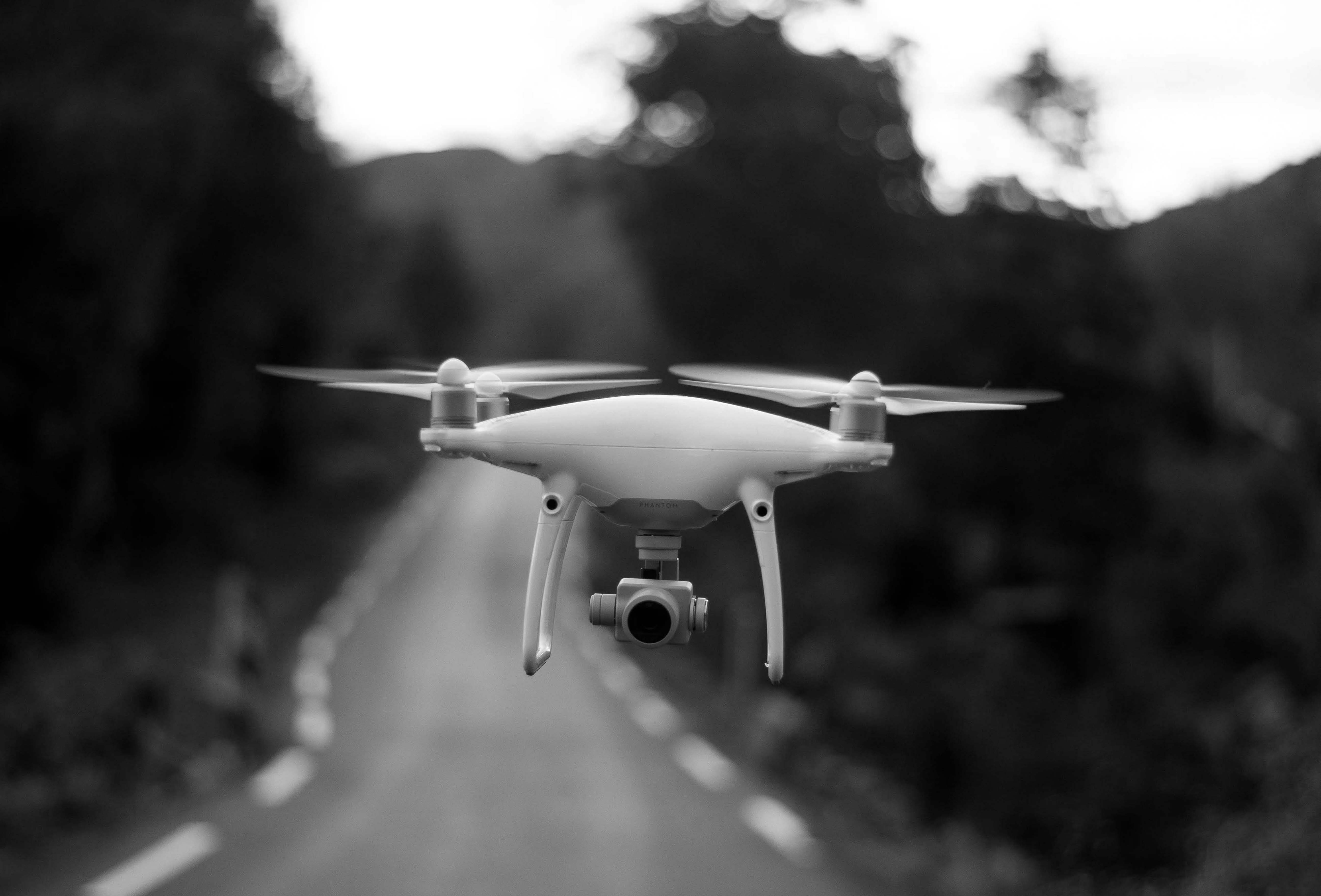 thomas griesbeck-oMJ5JyTffGA-unsplash